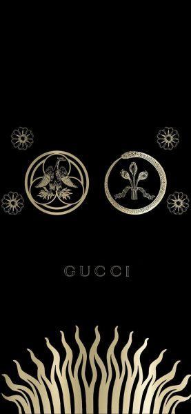 một hình ảnh tuyệt vời của Gucci