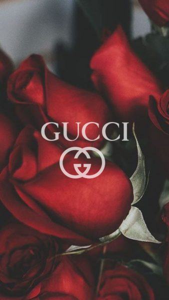 Một bức ảnh hoa hồng Gucci ở hậu cảnh