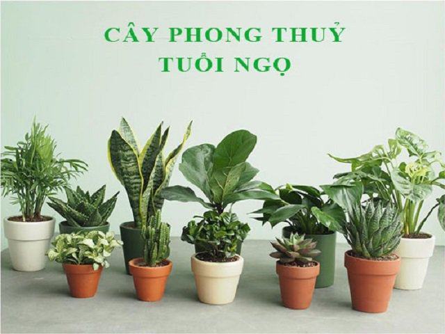 Giá trị nào 1990 tương ứng với 1