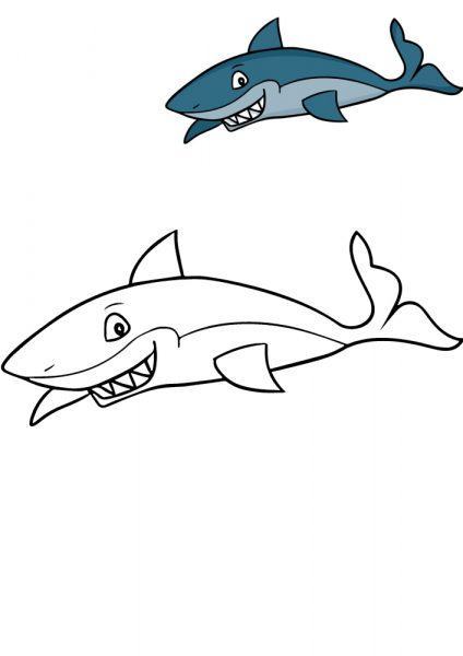 Tranh tô màu cá mập