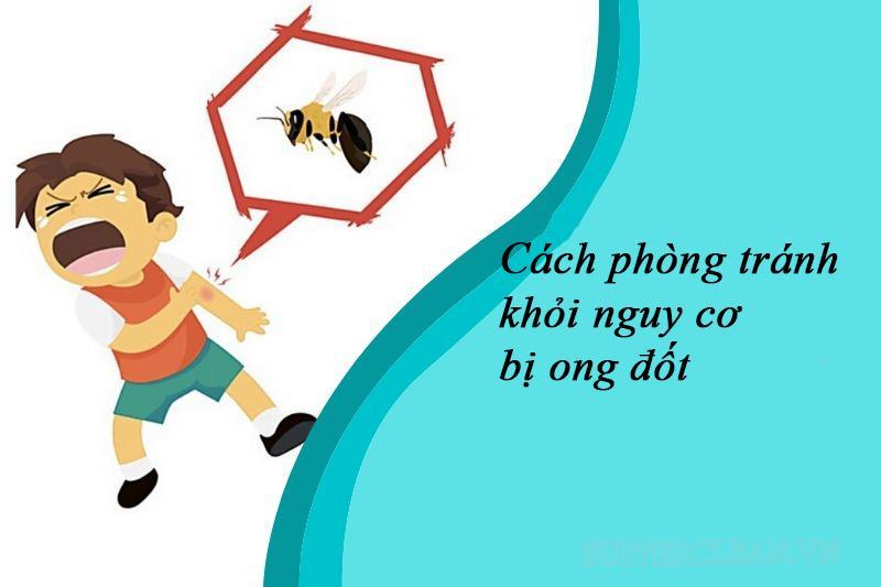 Những cách phòng tránh nguy cơ bị ong đốt