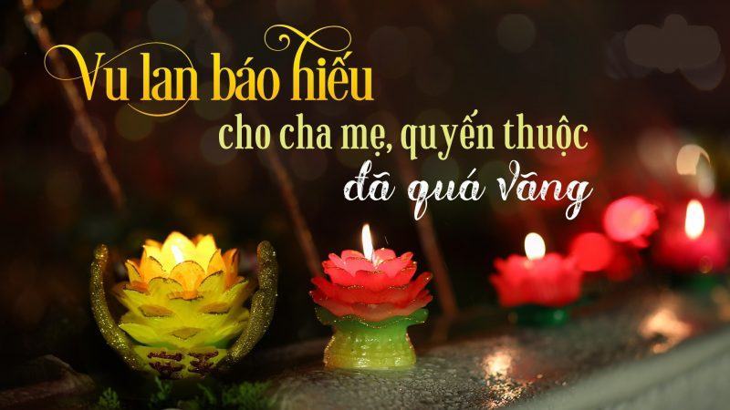 hình ảnh báo hiếu và đèn hoa sen