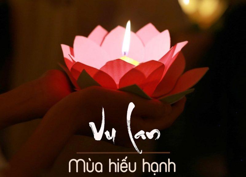 Tranh hoa sen giấy Vu Lan Bảo Hiếu