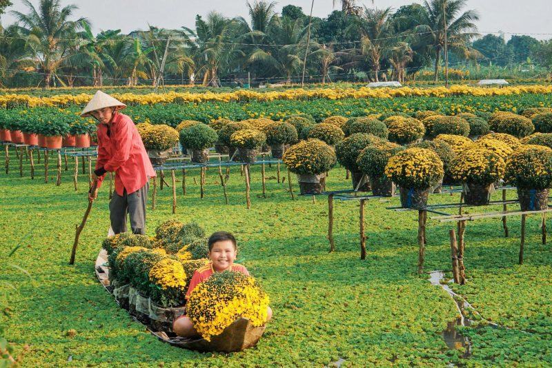 hình ảnh làng hoa Sa Đéc ngày tết