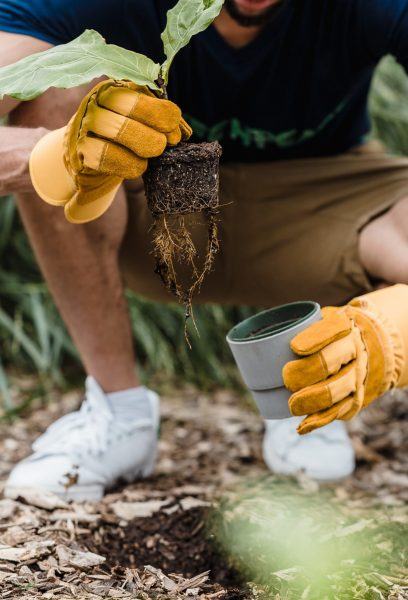 ảnh bảo vệ môi trường trồng cây gây rừng