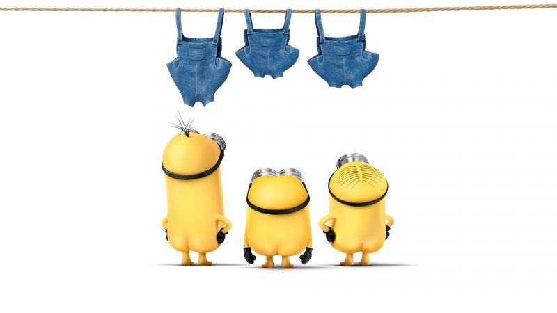 hình nền minion bị mất quần áo