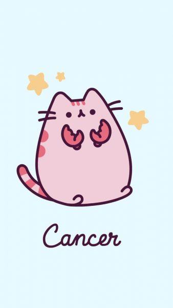 Hình ảnh mèo đẩy ung thư