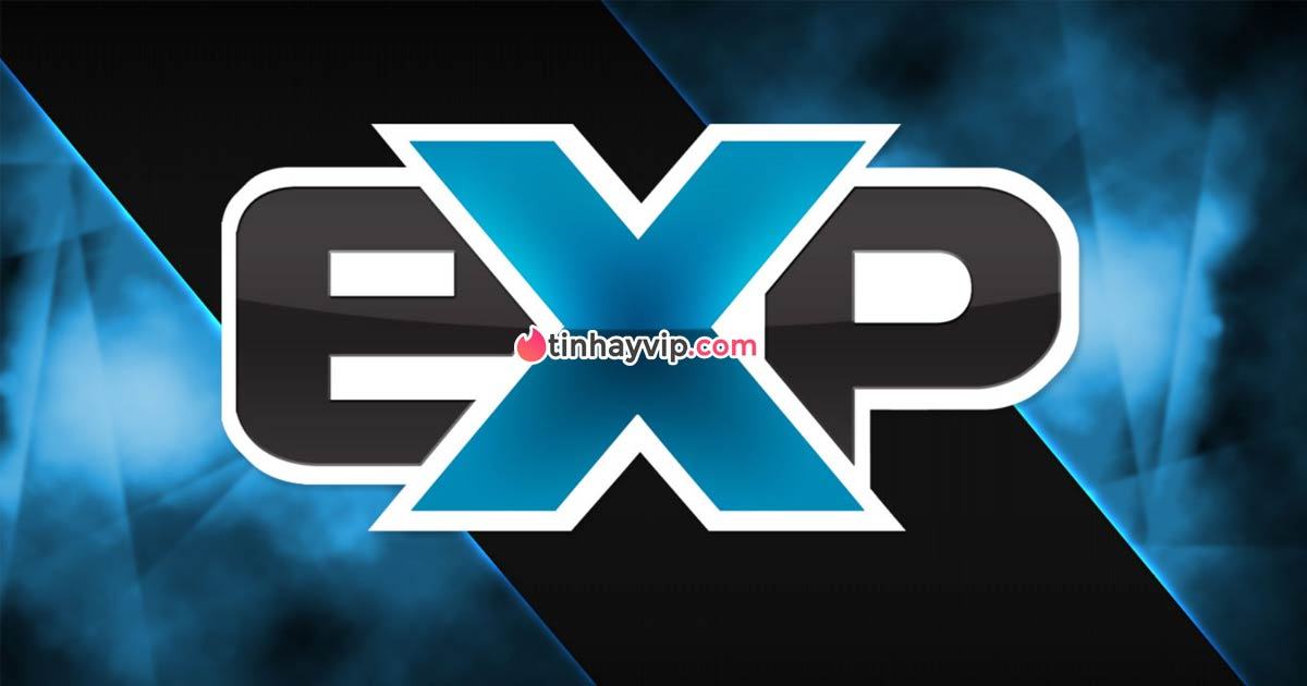 EXP là gì? 10 nghĩa của từ EXP trong sản xuất và mỹ phẩm
