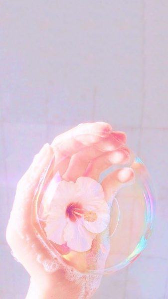 Hình ảnh hoa bong bóng xà phòng đẹp