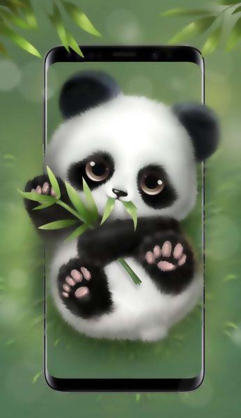 Top 50 hình ảnh gấu trúc Panda dễ thương đáng yêu nhất  TRẦN HƯNG ĐẠO