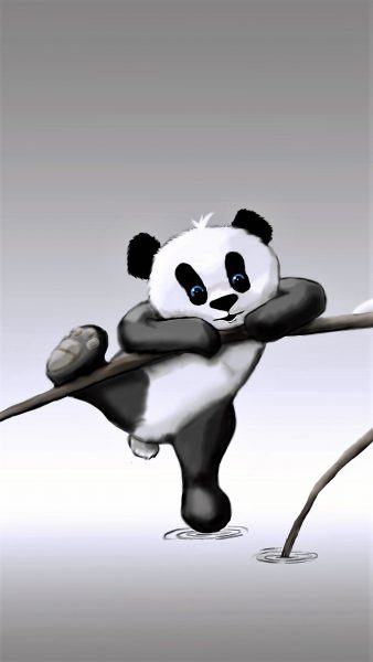 Kỹ năng chụp ảnh kỹ thuật số của Panda