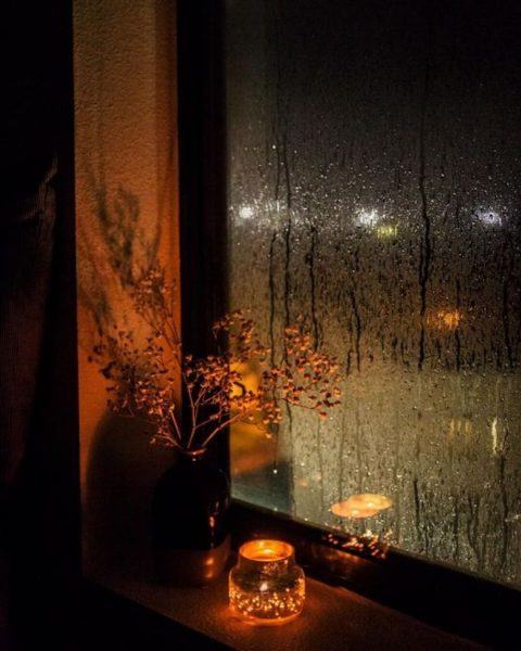 hình ảnh mưa đêm cành hoa khô