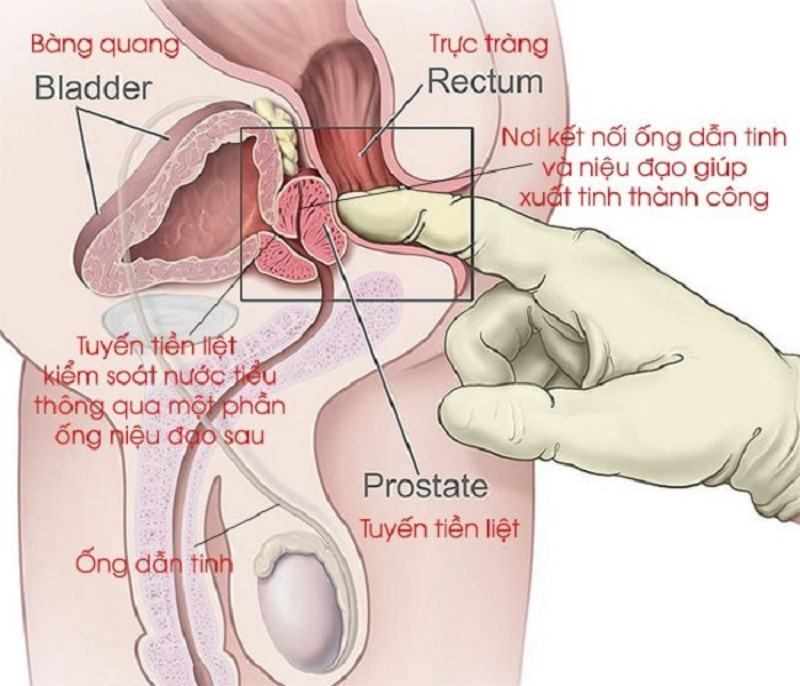 Lời khuyên về cách làm cho phụ nữ xuất tinh khi quan hệ tình dục