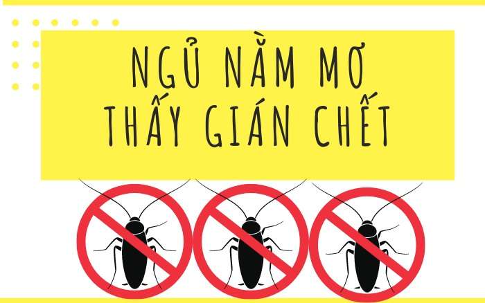 Nằm mơ thấy gián chết