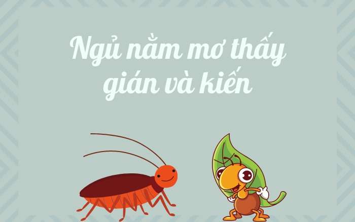 Nằm mơ thấy gián và kiến