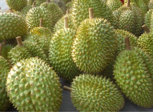 Durian