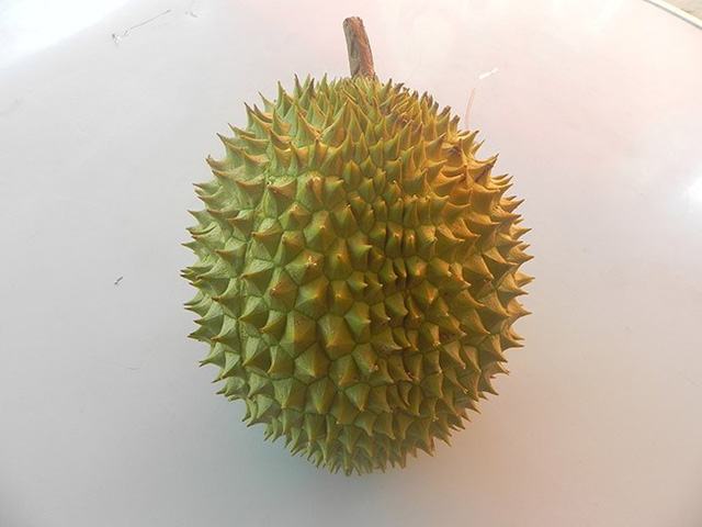 mmene kusankha zokoma ri6 durian