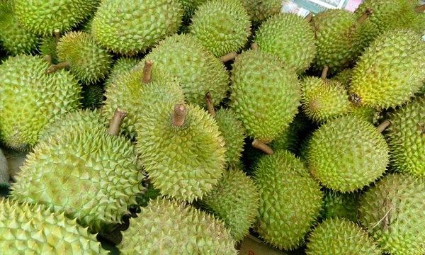Chithunzi cha Ri6 durian 3