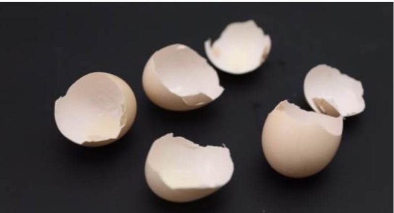         Dùng vỏ trứng hoặc mùn cưa nghiền nát để diệt ốc sên