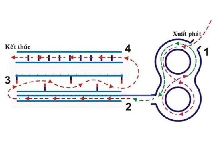 Cách đi vòng số 8 đơn giản thi bằng A1 ai cũng có thể đi được