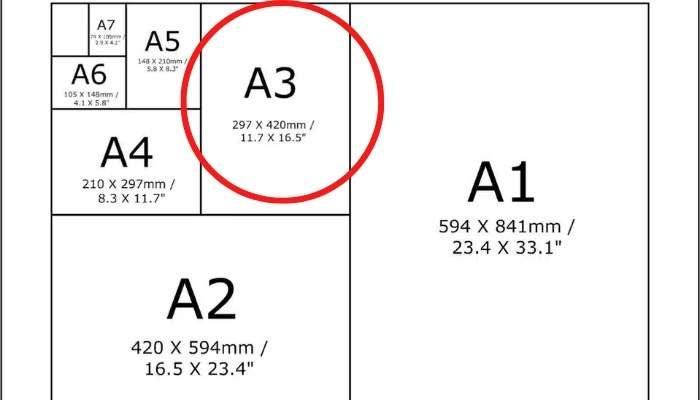 Kích thước A3 là bao nhiêu? Ứng dụng giấy A3 trong cuộc sống