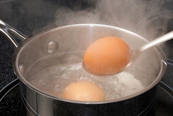 Bảo quản trứng gà 7