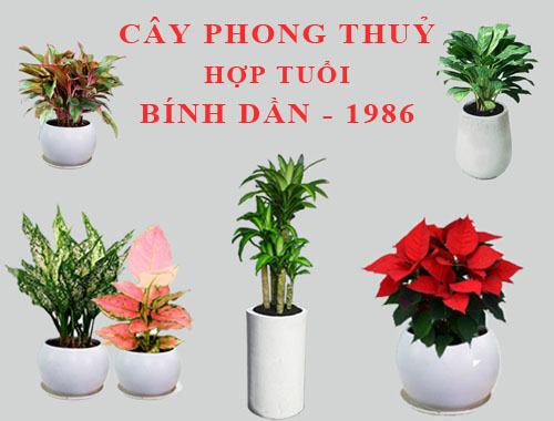 1986 bằng 1 là bao nhiêu?