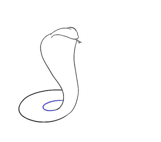 Hướng dẫn vẽ rắn đẹp dễ vẽ  Học 3 giây
