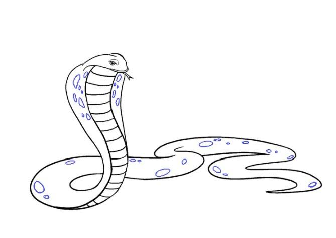 vẽ 17 con rắn