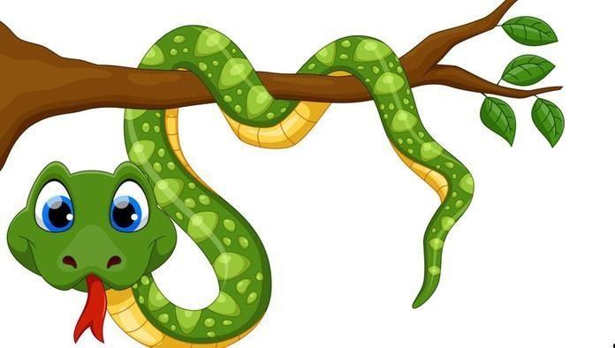 vẽ 22 con rắn
