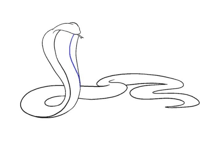 vẽ 16 con rắn