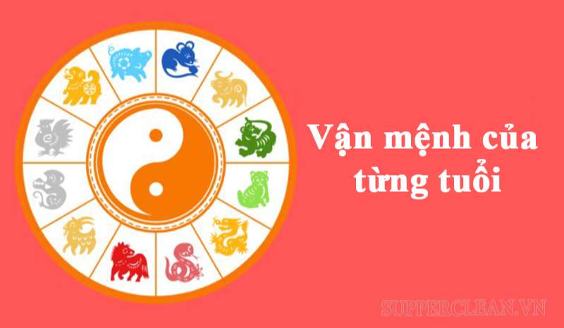 Xem tương lai để biết mối quan hệ xung khắc giữa các cung hoàng đạo