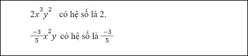 Một ví dụ về hệ số đơn thức