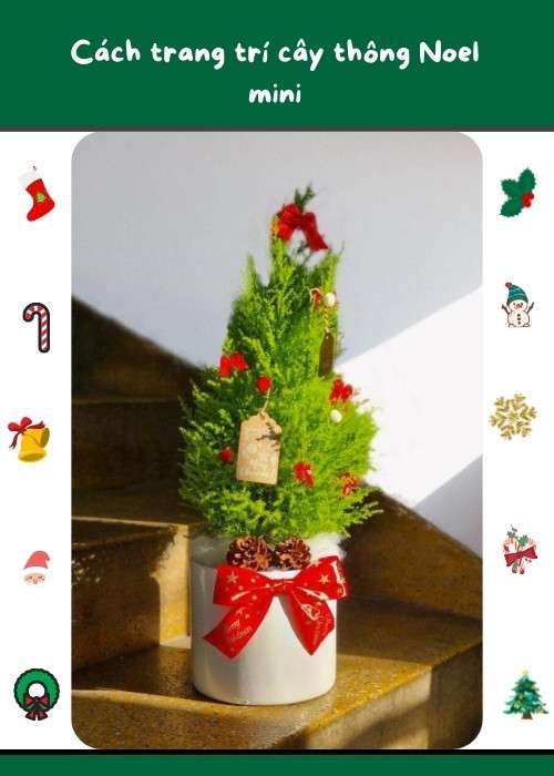 Cách trang trí cây thông Noel mini