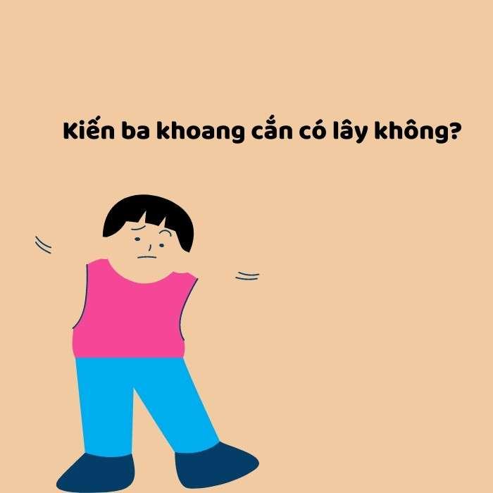 Kiến ba khoang có lây không?