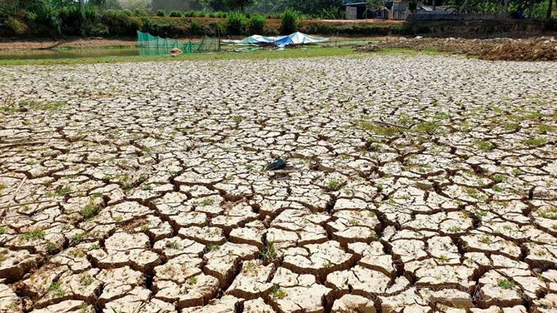 Đất bị hư hại trở nên khô cằn và không thể canh tác