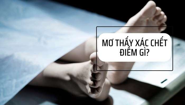 Mơ thấy xác chết là điềm gì? Nằm mơ thấy xác chết đánh con gì?