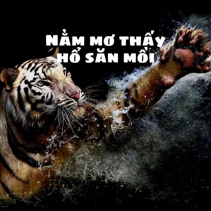 Nằm mơ thấy hổ săn mồi