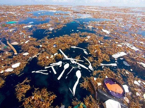Vùng biển Caribe bị ô nhiễm rác thải nhựa