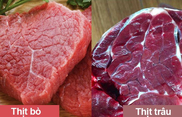 Sự khác biệt giữa trâu và bò