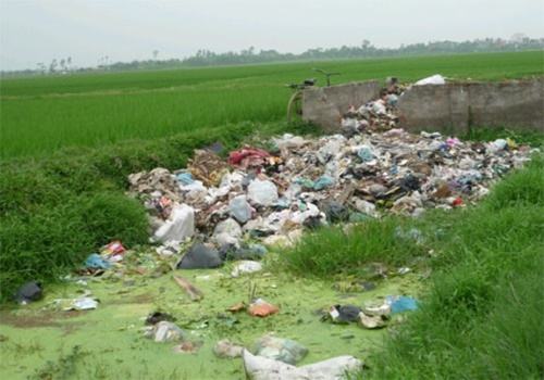 Hình ảnh về ô nhiễm đất 5