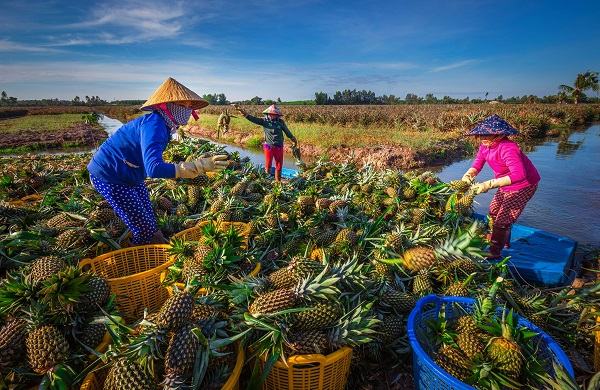 Cầu Đúc Hậu Giang