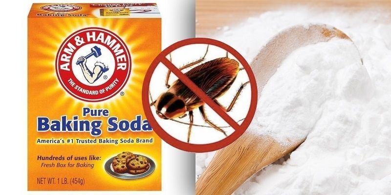 Cách đuổi gián bằng baking soda