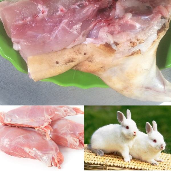Có gì sai với thịt thỏ?