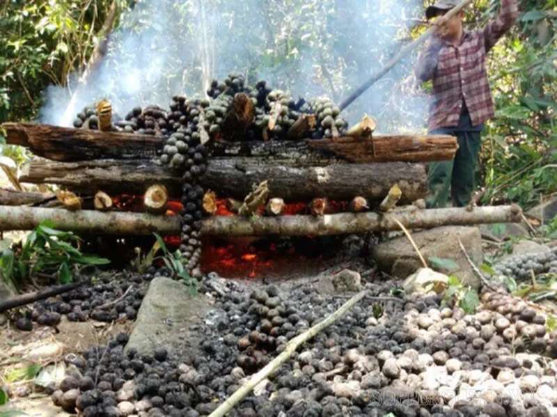 Đốt quả trước khi lấy hạt