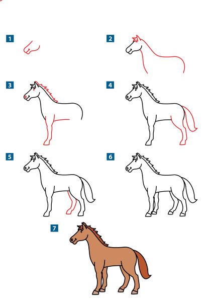 Cách vẽ con Ngựa đẹp nhất