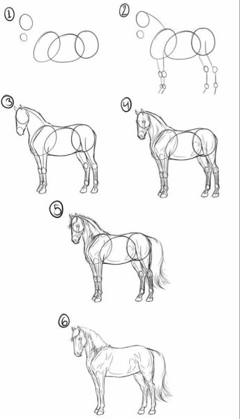Cách vẽ con Ngựa đơn giản