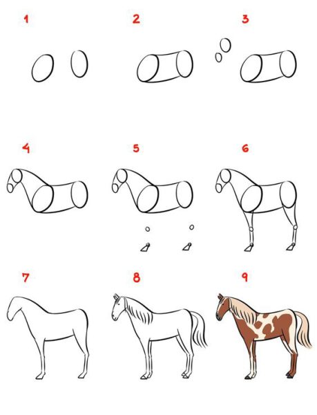 Vẽ con Ngựa đẹp nhất