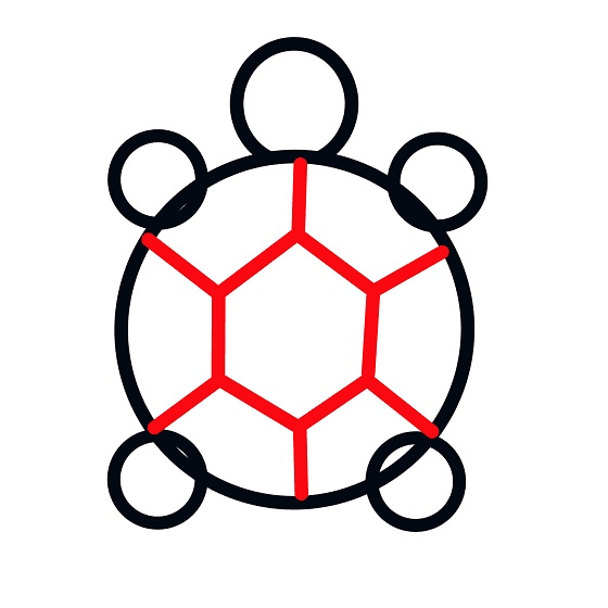 Cách vẽ con rùa với bước 4