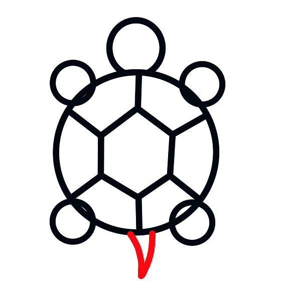 Cách vẽ con rùa với bước 5